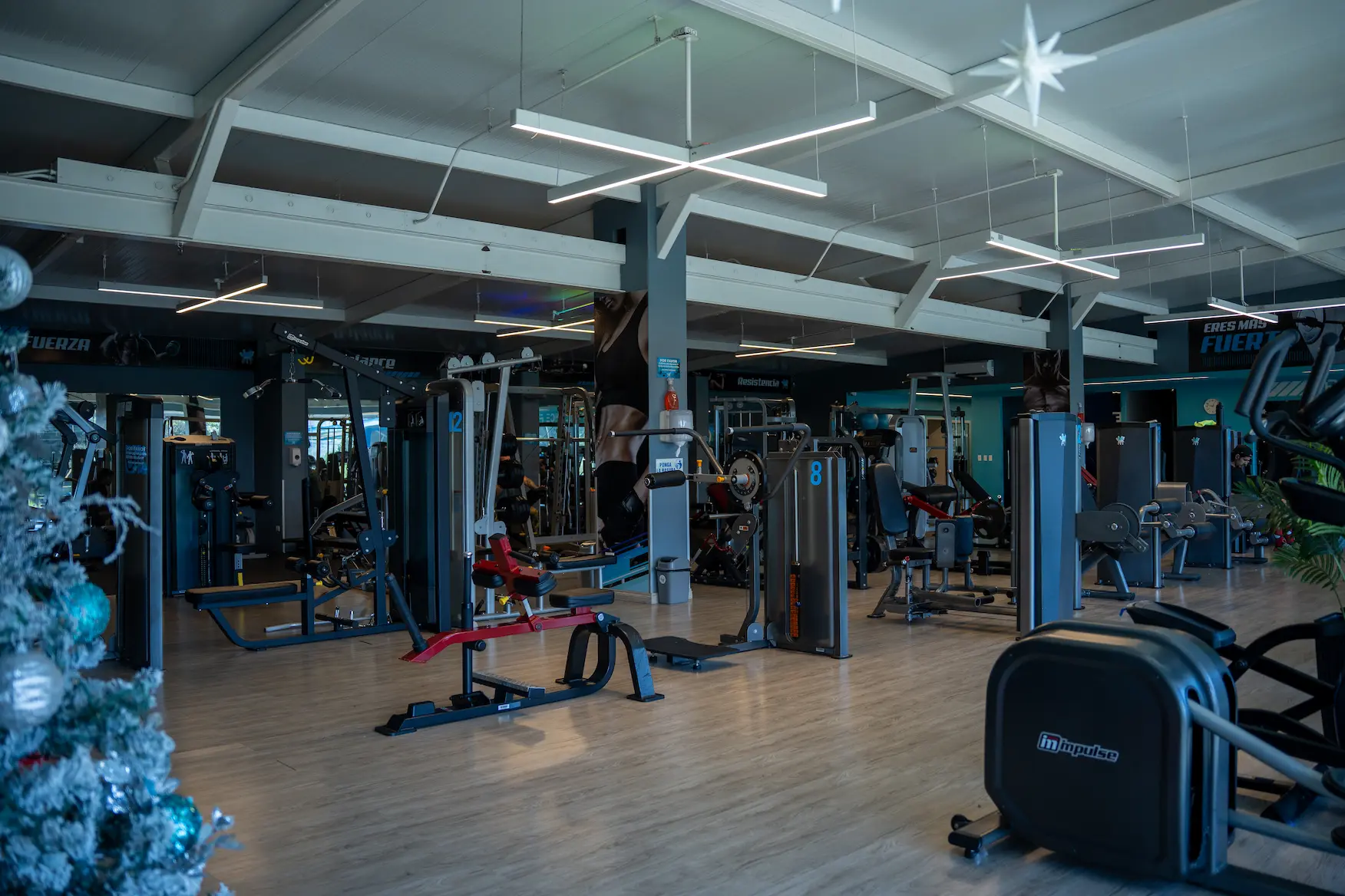 Area de maquinas y entrenamiento en Balance Fit