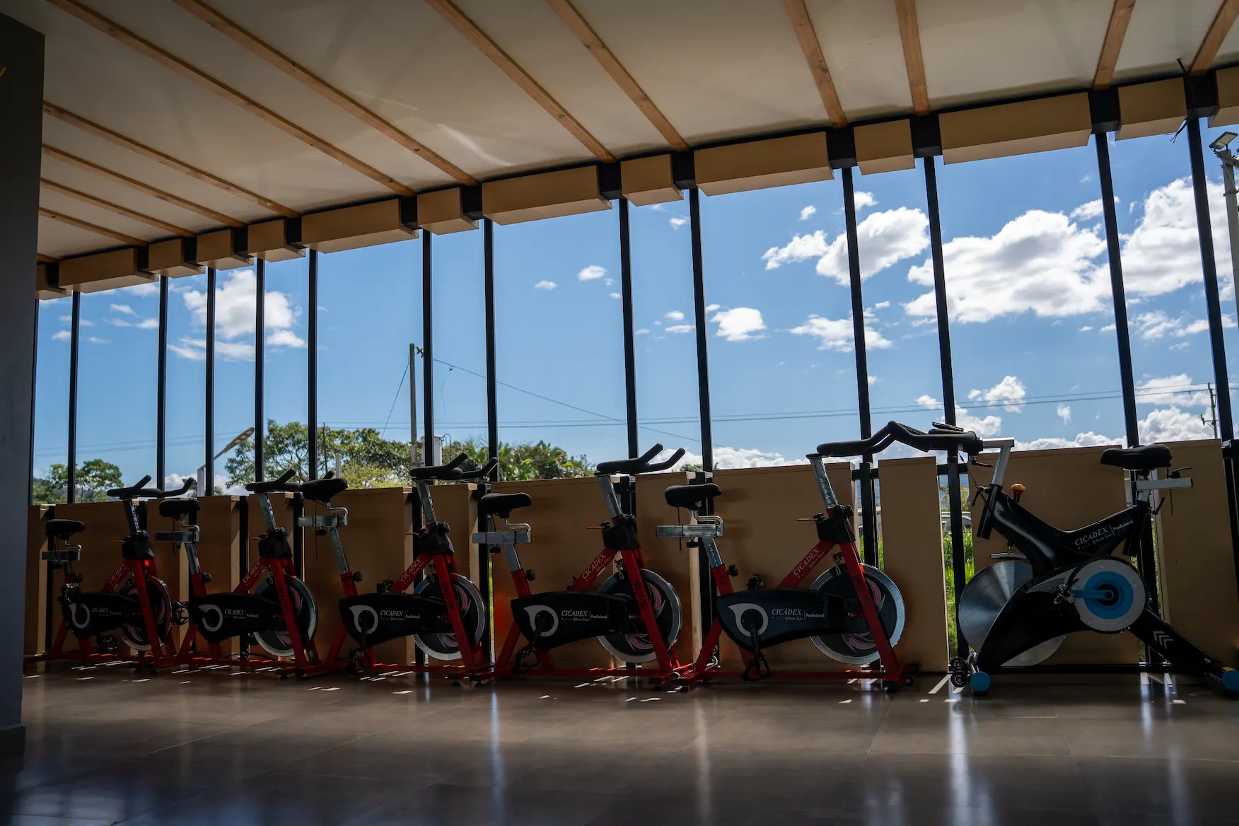 Sala de spinning con bicicletas frente a ventanales